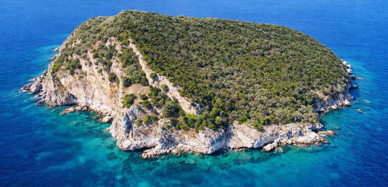 Fidonisi