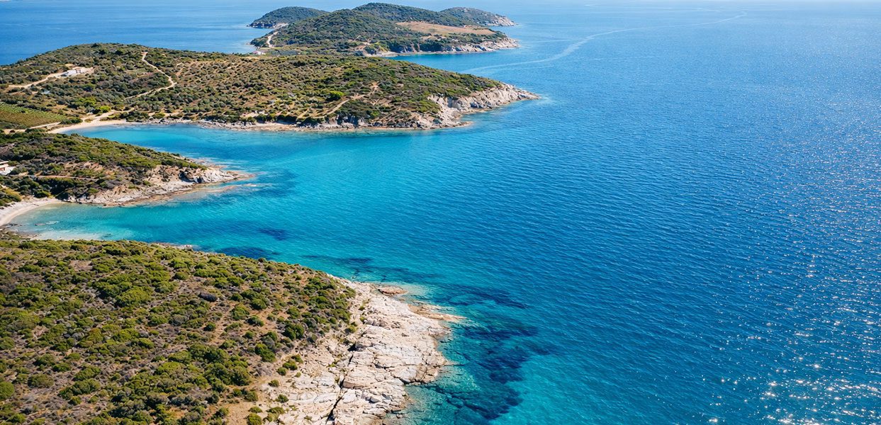 Fidonisi
