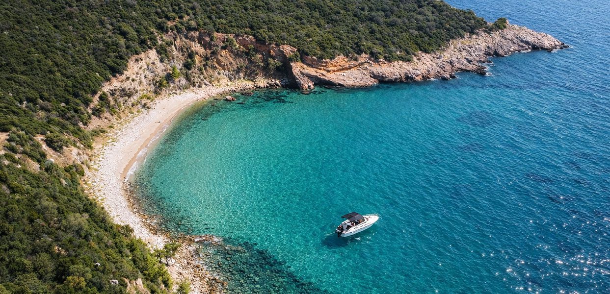 Fidonisi